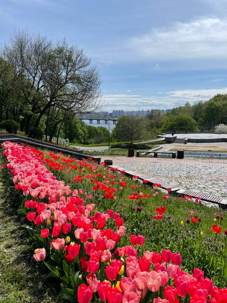 В Киеве расцвело море тюльпанов: фото невероятной красоты