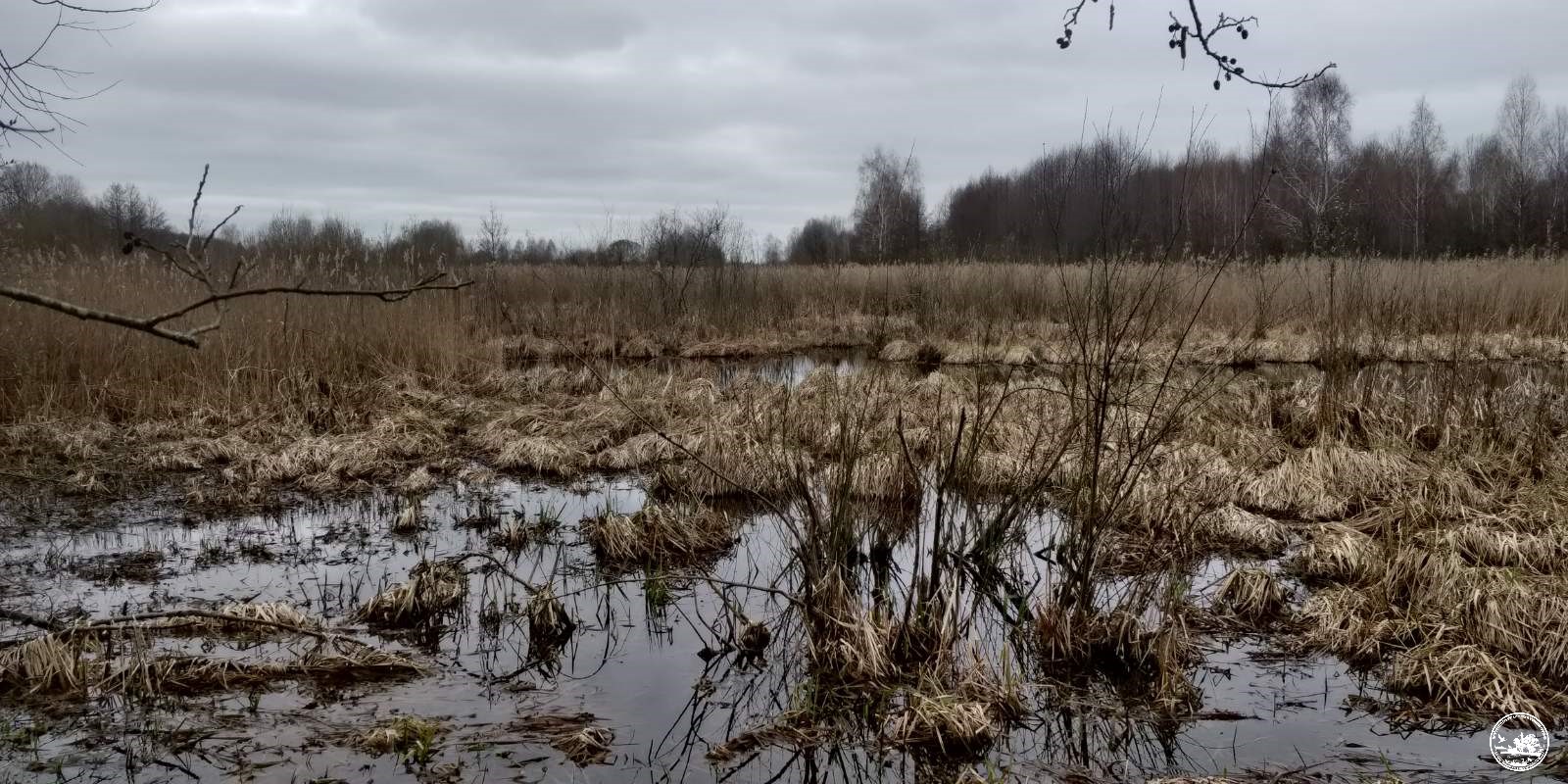 Большая вода подтапливает Чернобыльскую зону. Что об этом говорят экологи?