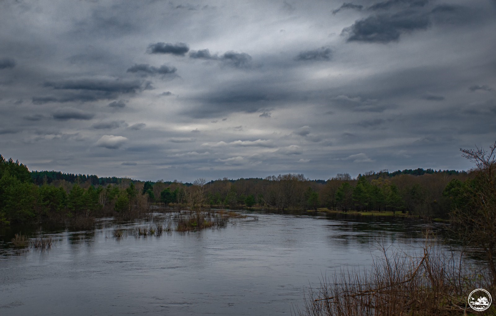 Большая вода подтапливает Чернобыльскую зону. Что об этом говорят экологи?