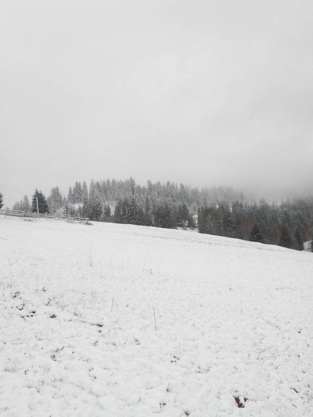 Українське село засипало снігом у розпал весни: фото аномального явища
