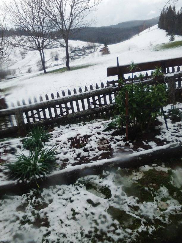 Українське село засипало снігом у розпал весни: фото аномального явища