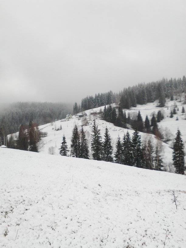 Українське село засипало снігом у розпал весни: фото аномального явища