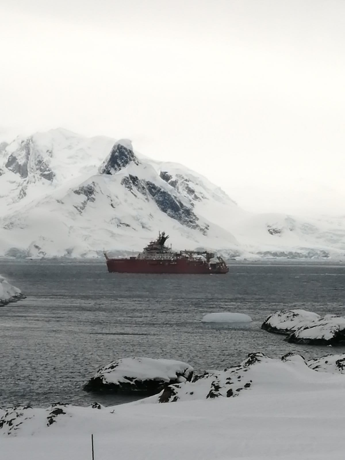 На станції Вернадського полярники приймали незвичайних гостей: "це було неймовірно!"