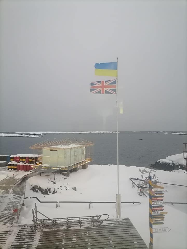 На станції Вернадського полярники приймали незвичайних гостей: "це було неймовірно!"