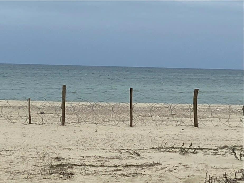 Остались только собаки и руины. Как выглядит сейчас курортная Затока под Одессой