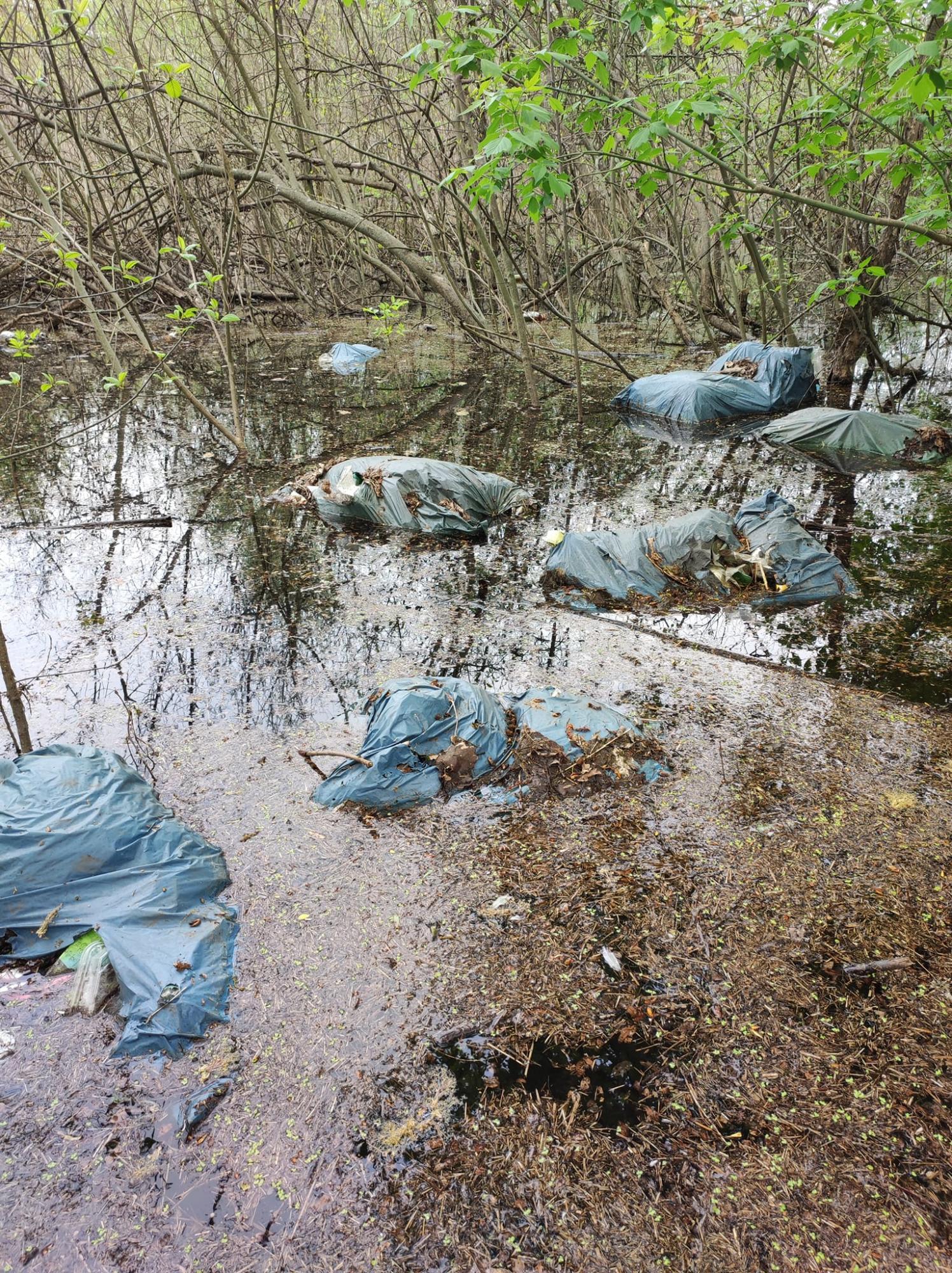 Жуков остров утопает в мусоре. Смотрите, во что в Киеве превратили природный заказник (фото)