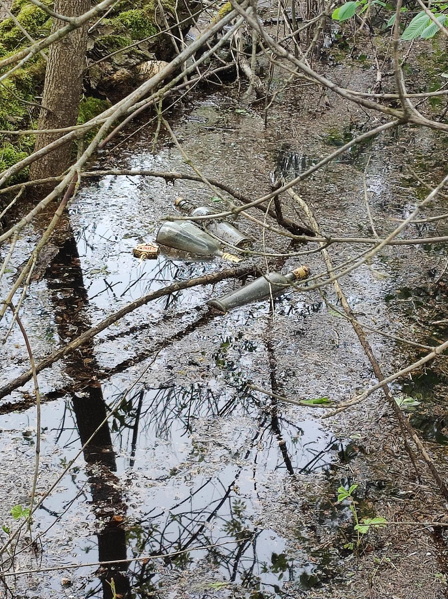 Жуков остров утопает в мусоре. Смотрите, во что в Киеве превратили природный заказник (фото)