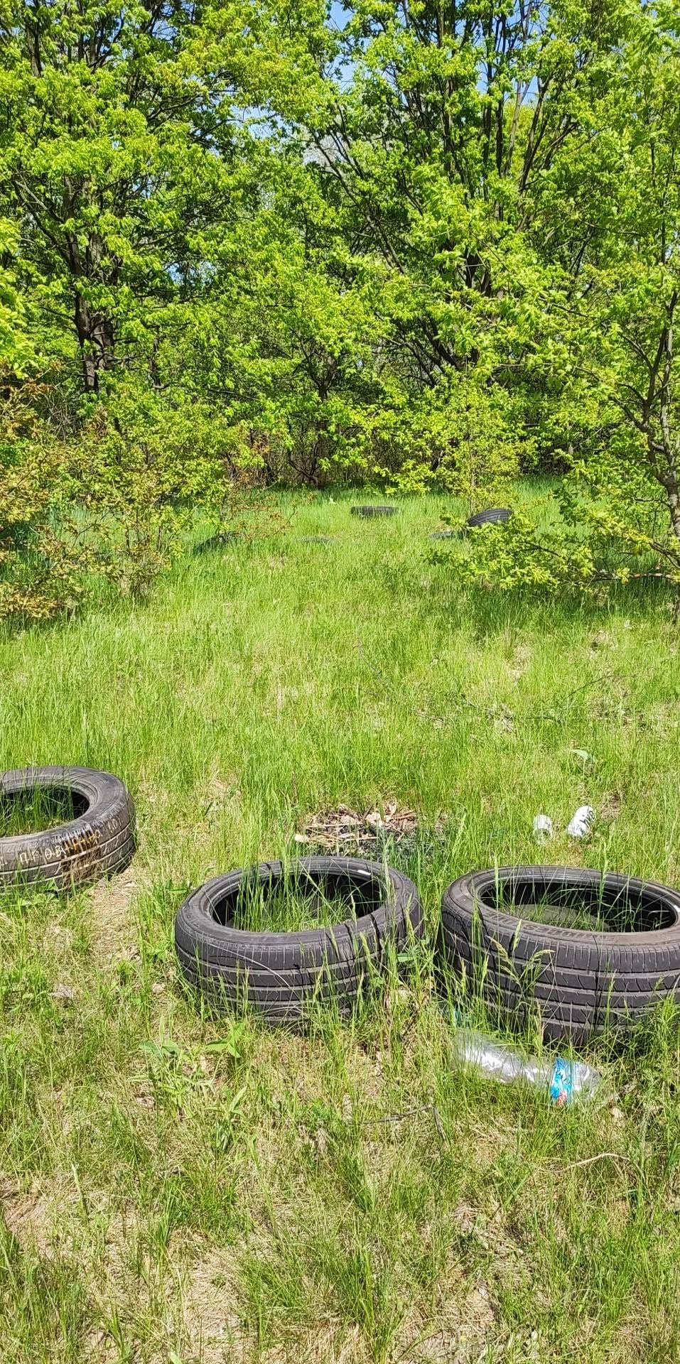 Жуков остров утопает в мусоре. Смотрите, во что в Киеве превратили природный заказник (фото)