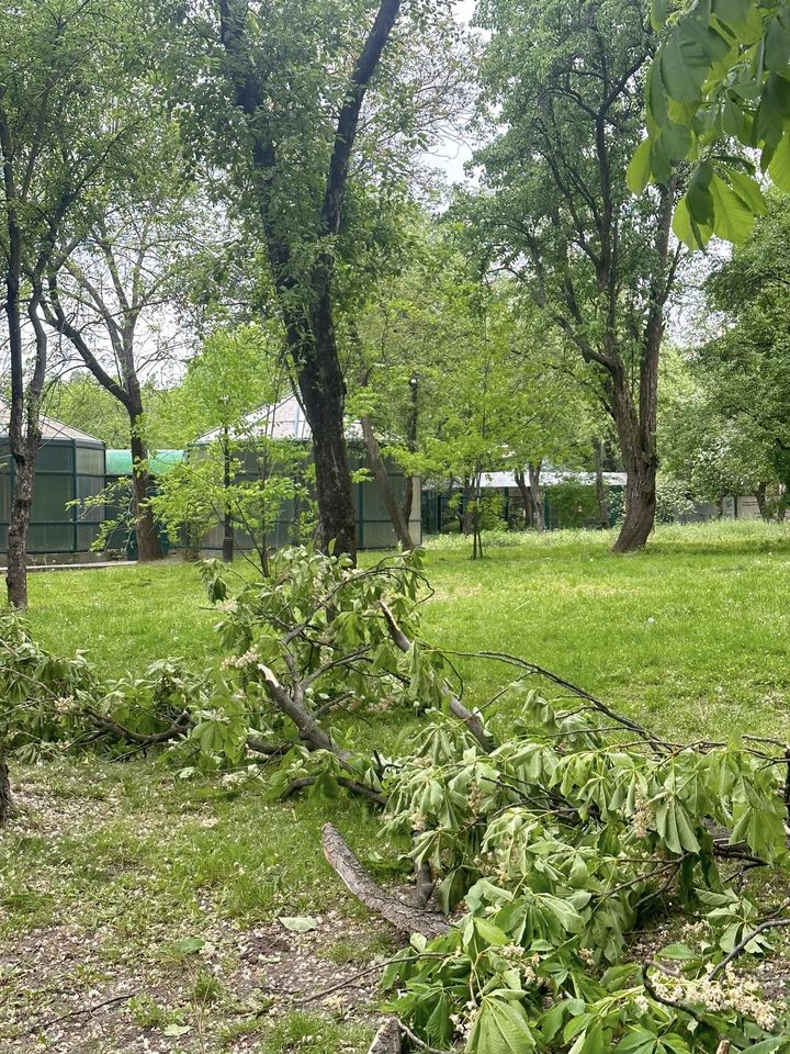 Ведмеді спали, а єноти не зрозуміли: як насправді звірі Київського зоопарку пережили ракетну атаку