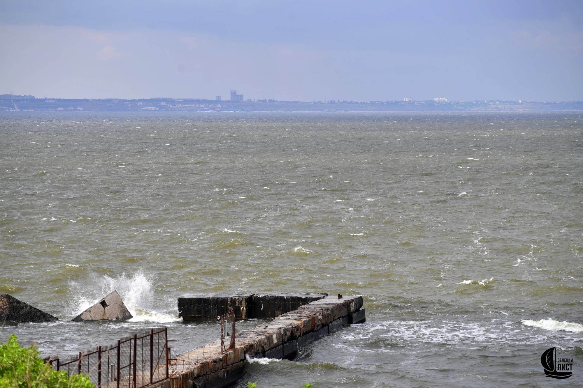 "Я такого моря ще не бачив": еколог про наслідки підриву Каховської ГЕС для Одеської затоки