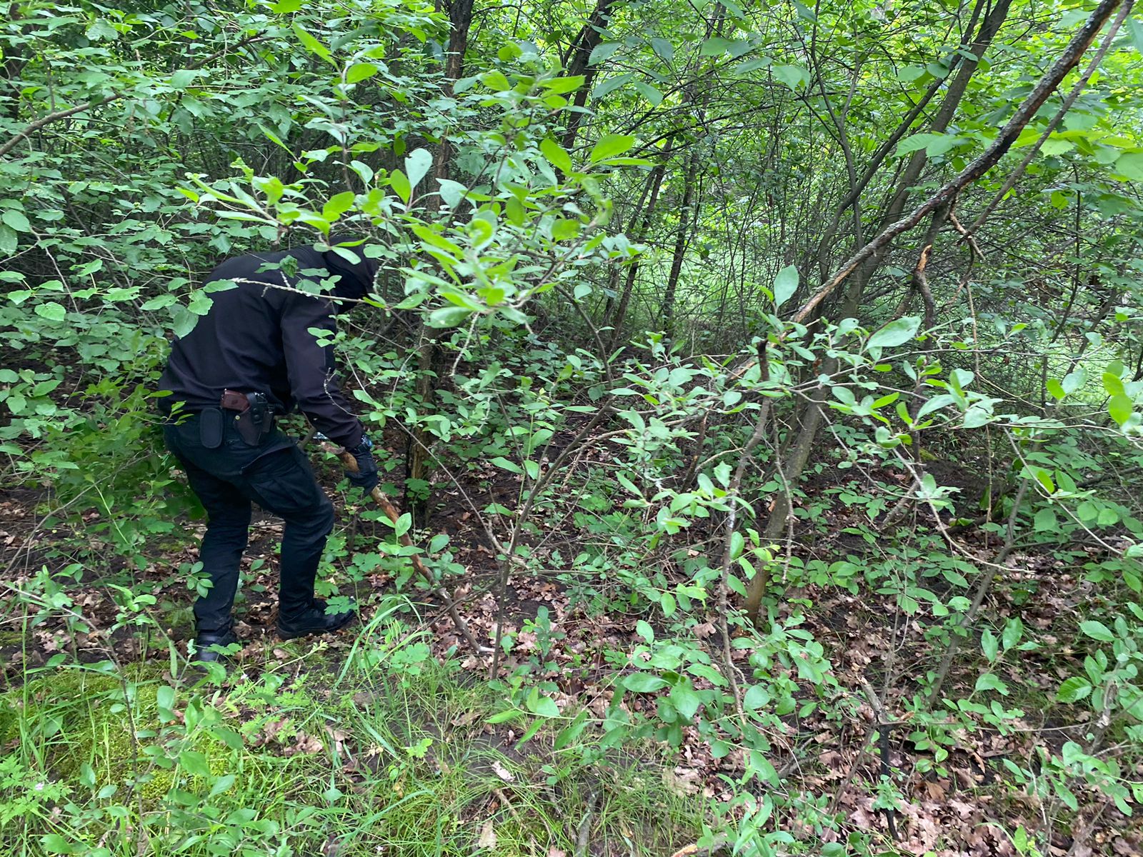 Малятко майже 5 діб провела в лісі і дивом вижила: деталі зникнення та порятунку 2-річної Віолетти