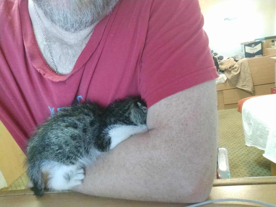 Украинские моряки спасли котенка, погребенного под сотнями тонн металла в трюме судна (фото)