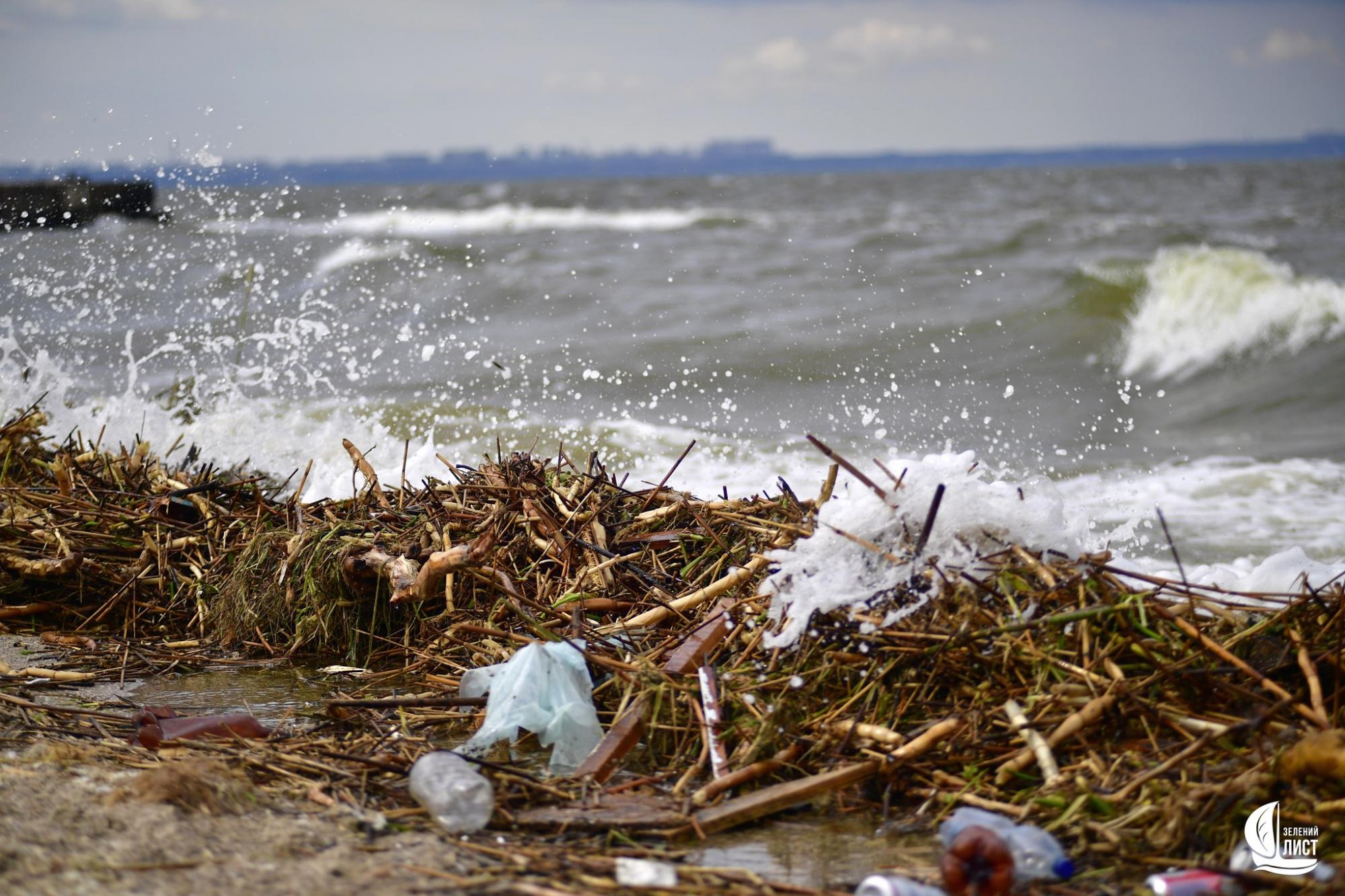 "Я такого моря ще не бачив": еколог про наслідки підриву Каховської ГЕС для Одеської затоки