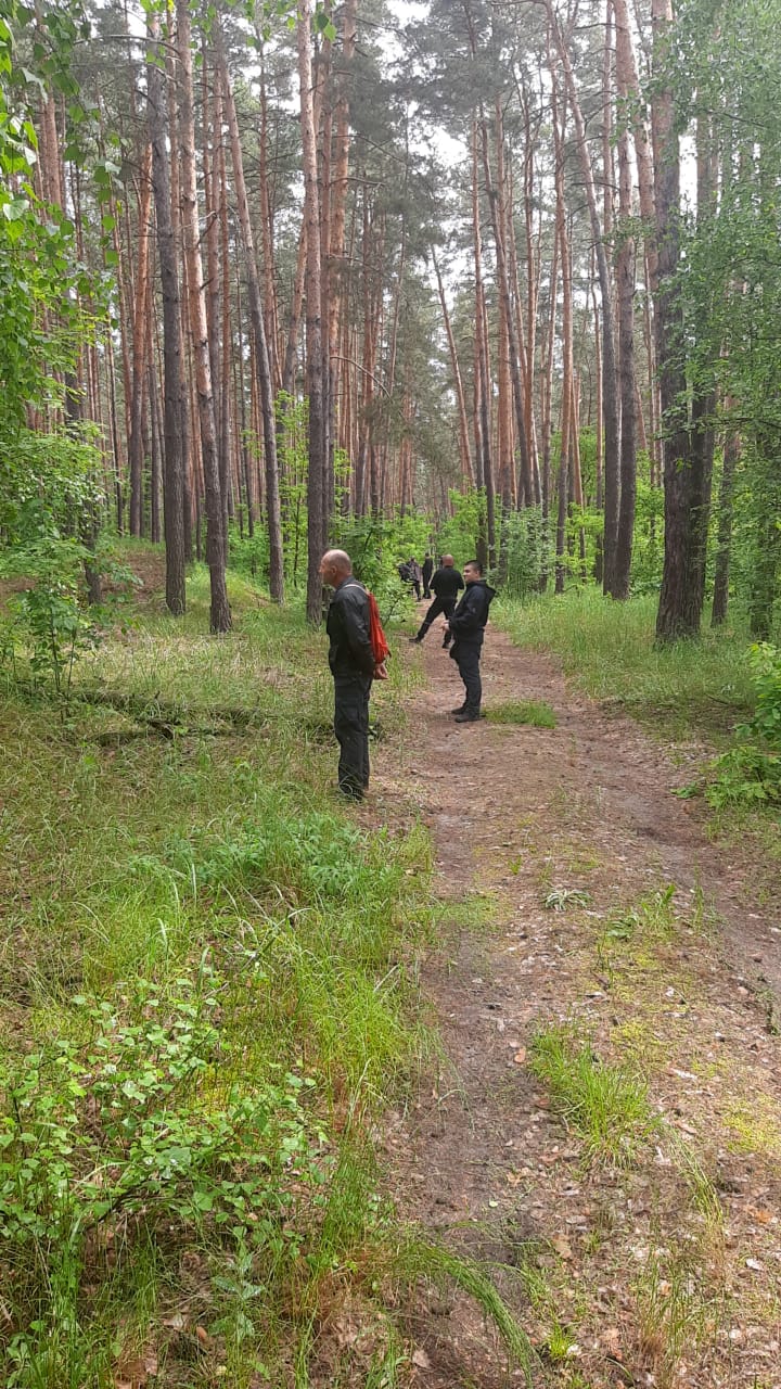 Малятко майже 5 діб провела в лісі і дивом вижила: деталі зникнення та порятунку 2-річної Віолетти