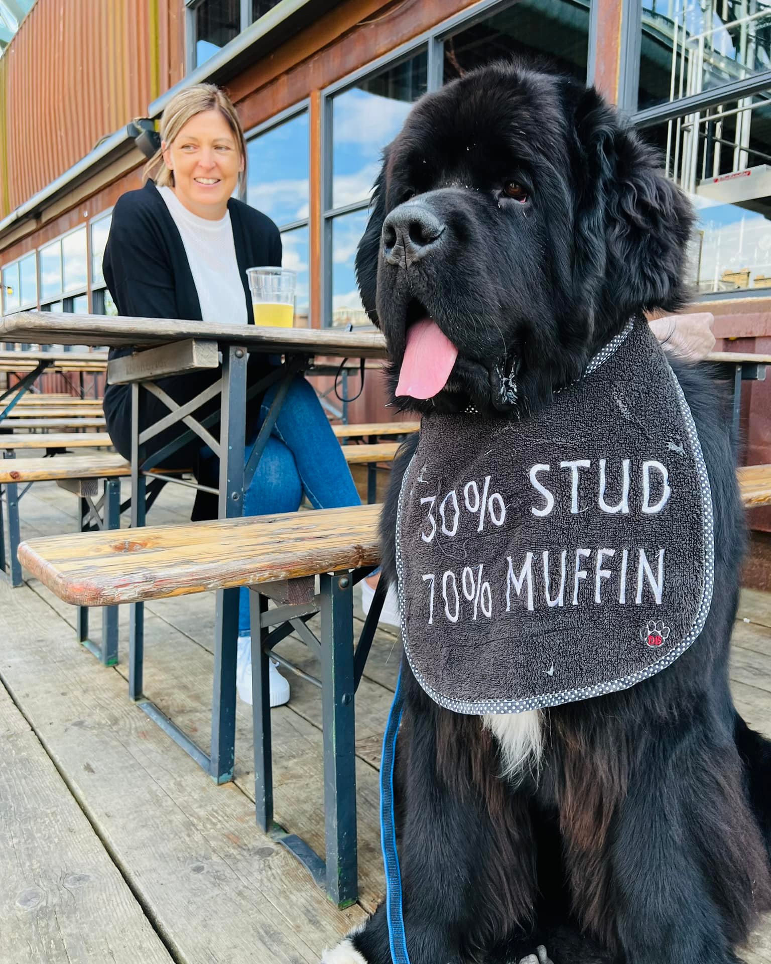 Малюк Шерман став зіркою мережі: таких собачок ви точно не бачили!