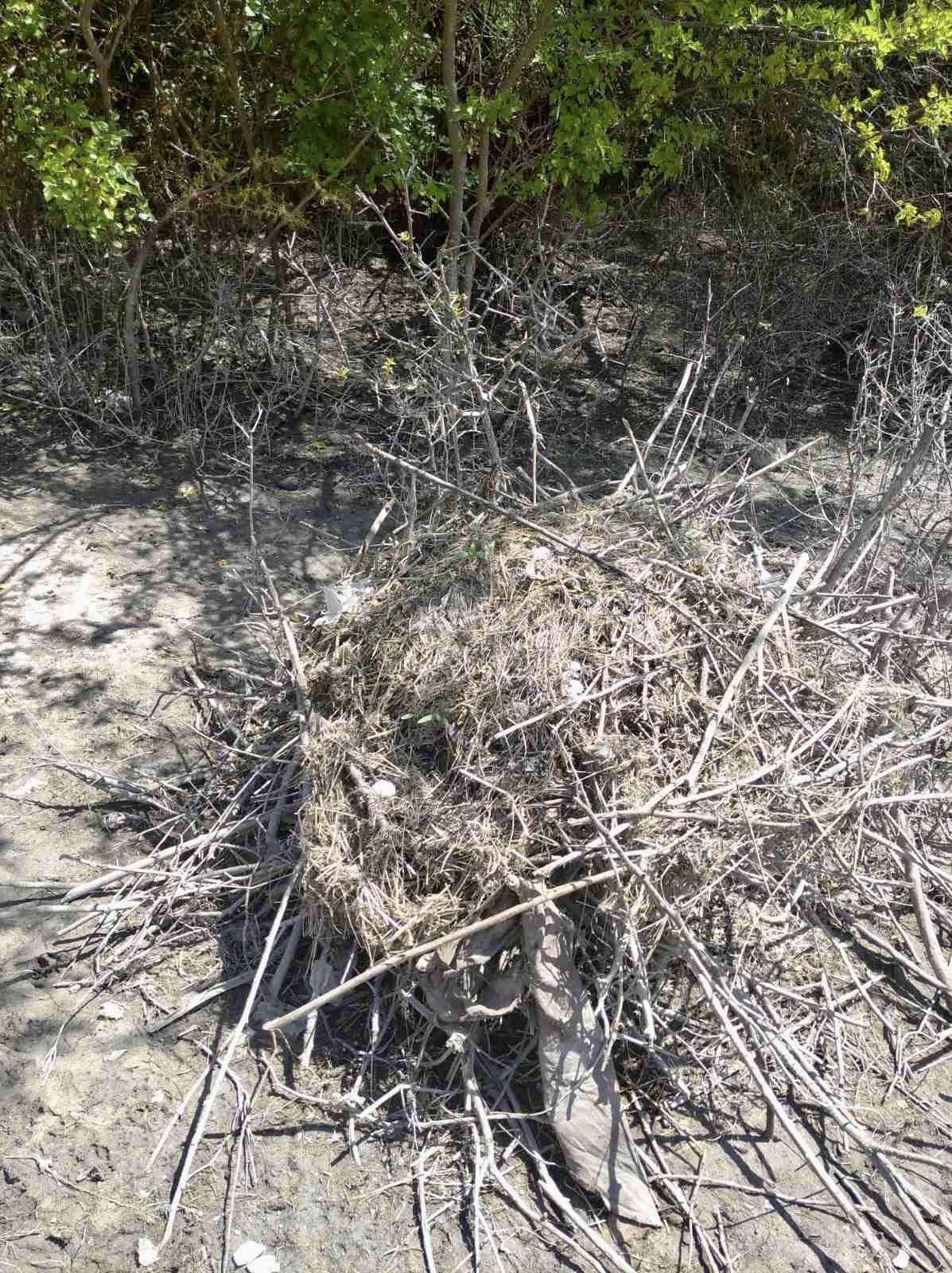 Так вмирає природа Каховського водосховища. У мережі показали трагічні фото