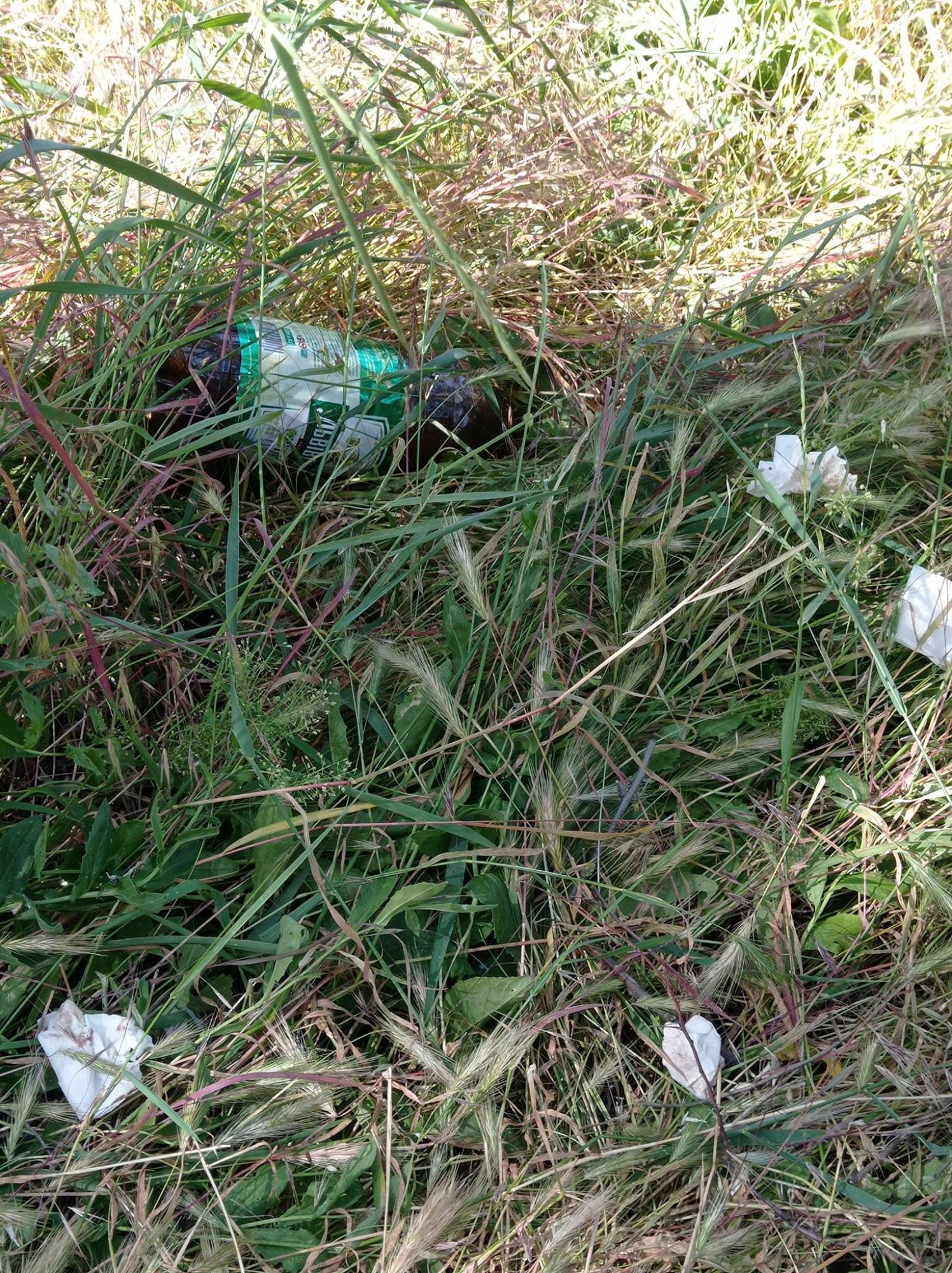 Палять багаття і руйнують гнізда. Відпочивальники відлякують рожевих фламінго під Одесою