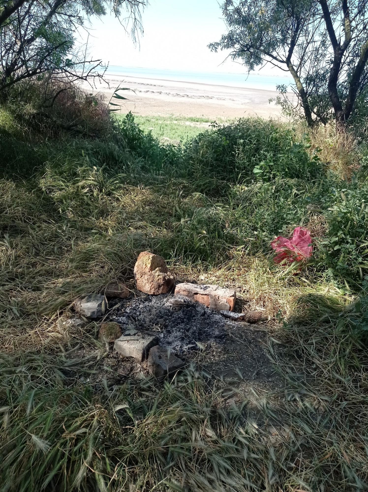 Палять багаття і руйнують гнізда. Відпочивальники відлякують рожевих фламінго під Одесою