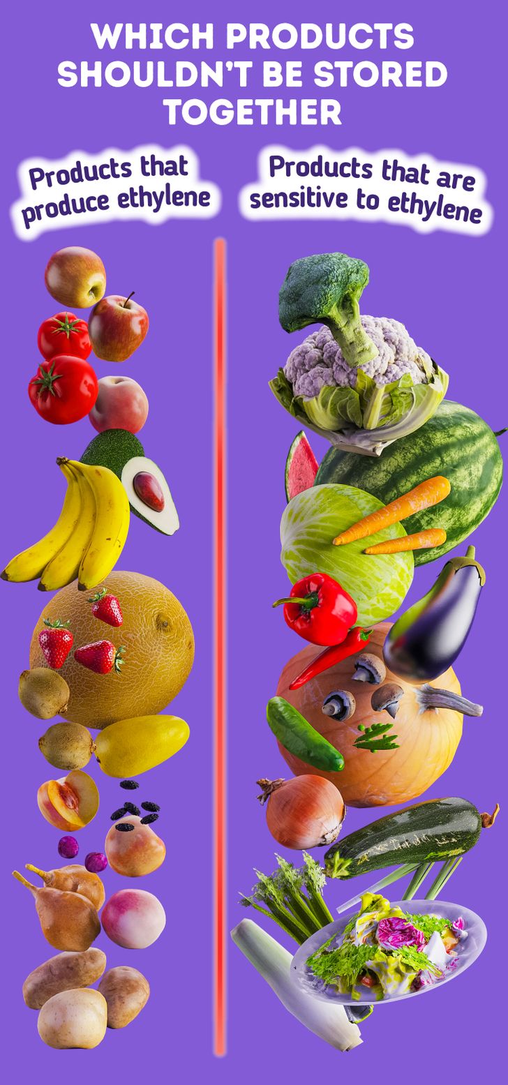 Названы продукты, которые нельзя хранить вместе: будут быстро портиться