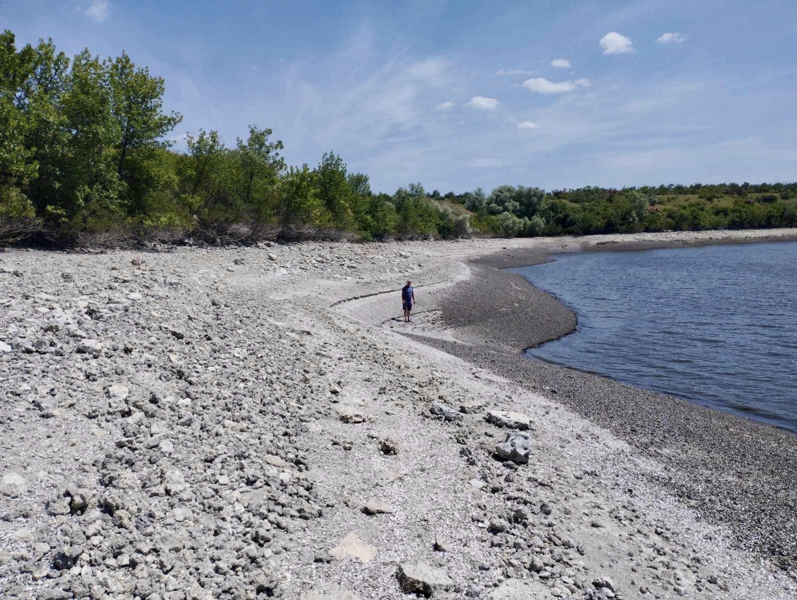 Так вмирає природа Каховського водосховища. У мережі показали трагічні фото