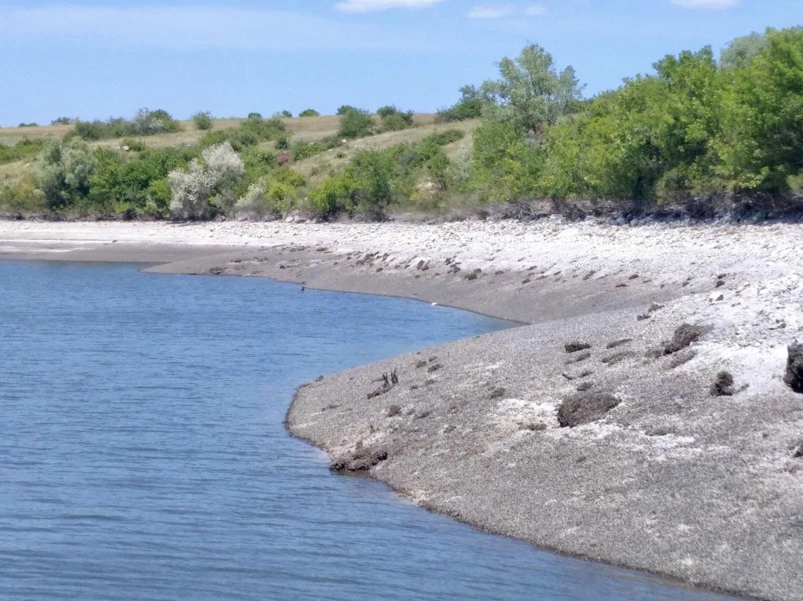 Так вмирає природа Каховського водосховища. У мережі показали трагічні фото