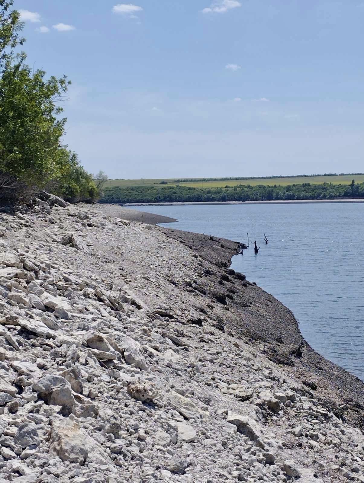 Так вмирає природа Каховського водосховища. У мережі показали трагічні фото