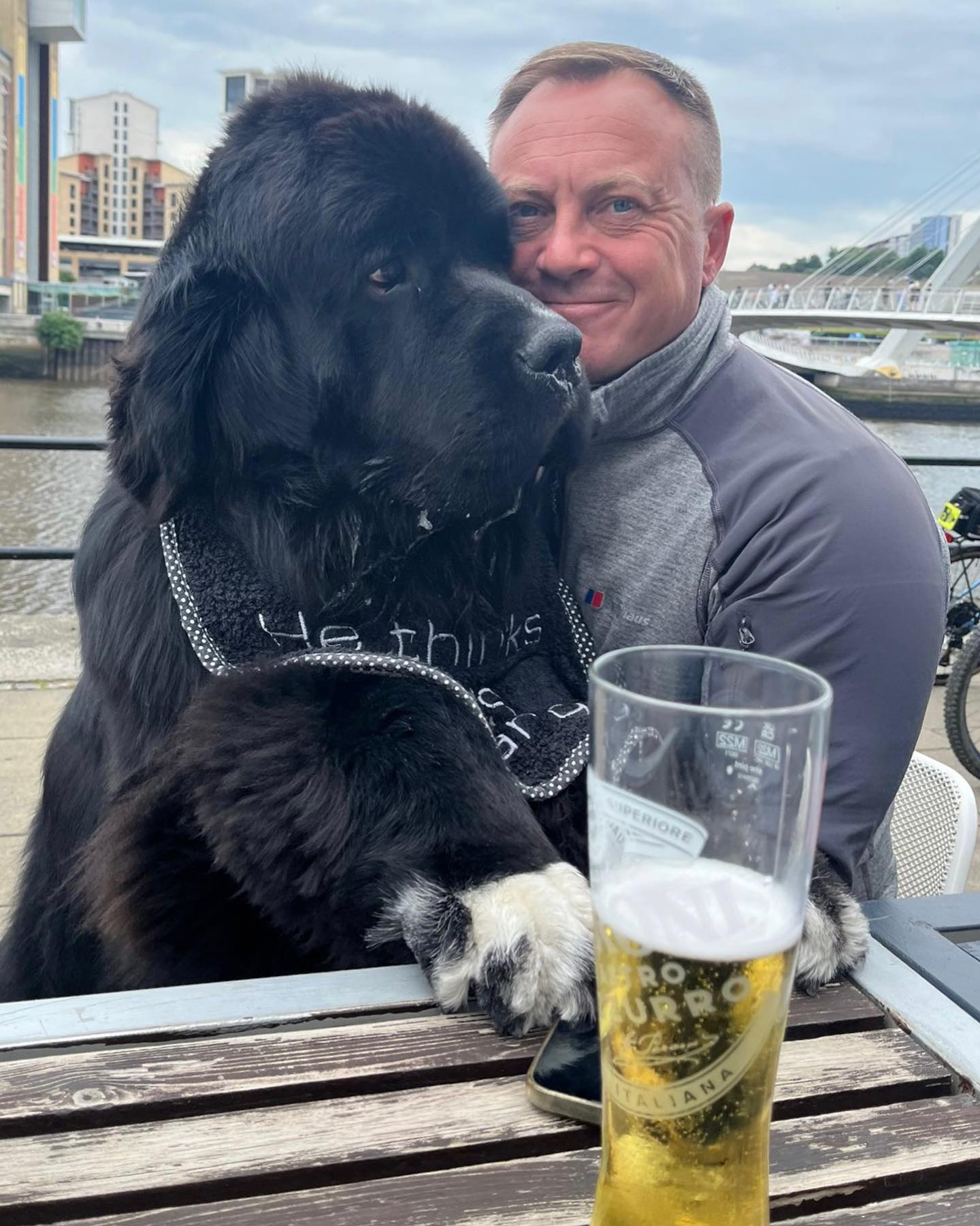 Малюк Шерман став зіркою мережі: таких собачок ви точно не бачили!