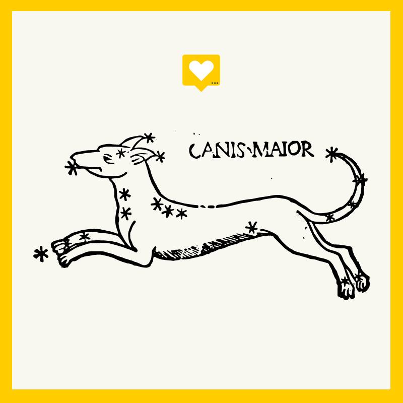 Звідки в українській мові взялося слово "канікули" та до чого тут собаки: пояснення філолога