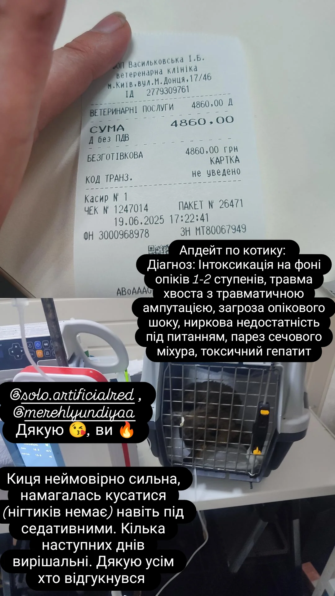 "Очі - як всесвіт страху". Під завалами зруйнованого ракетою будинку в Києві знайшли кота