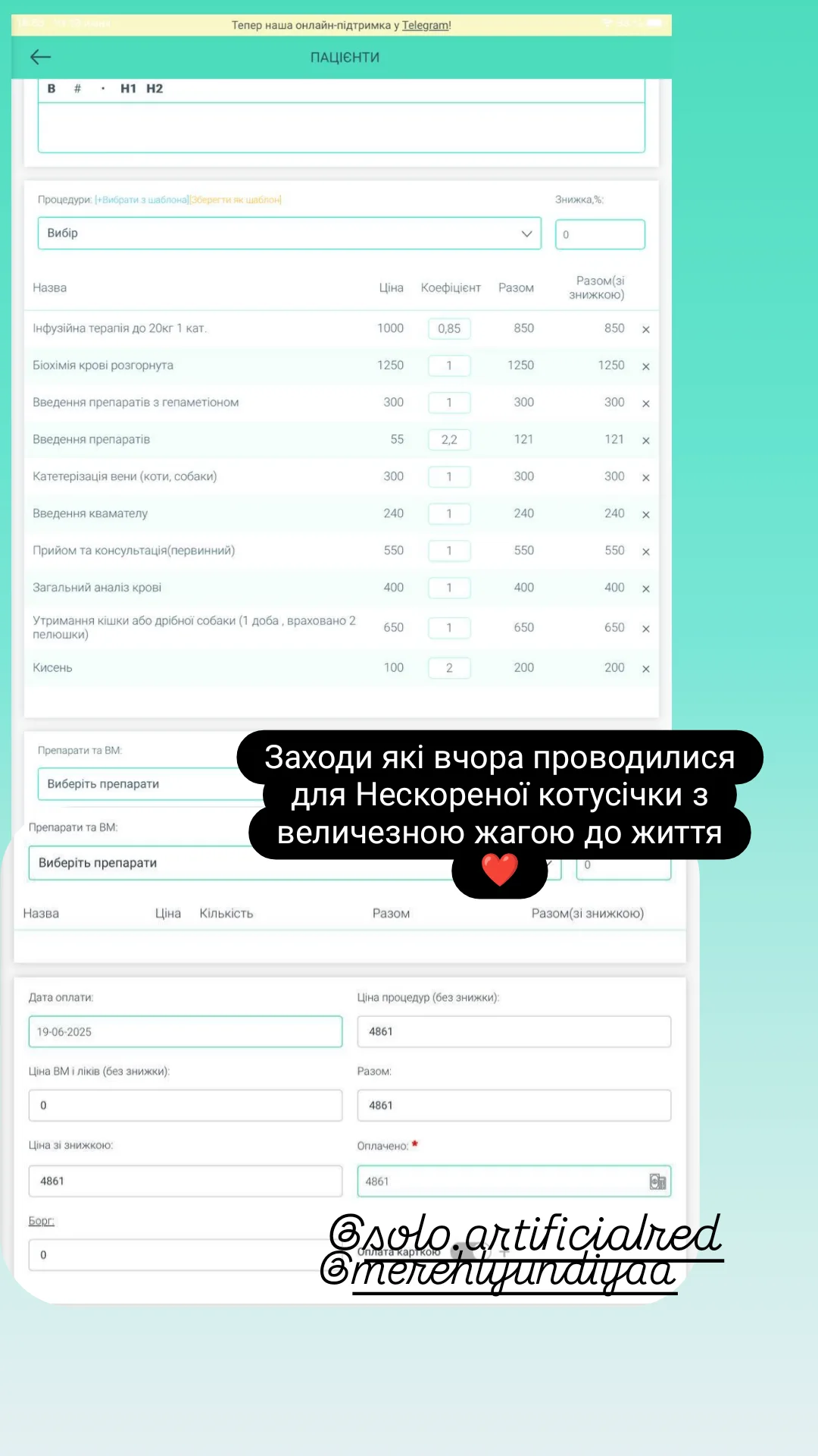 "Очі - як всесвіт страху". Під завалами зруйнованого ракетою будинку в Києві знайшли кота