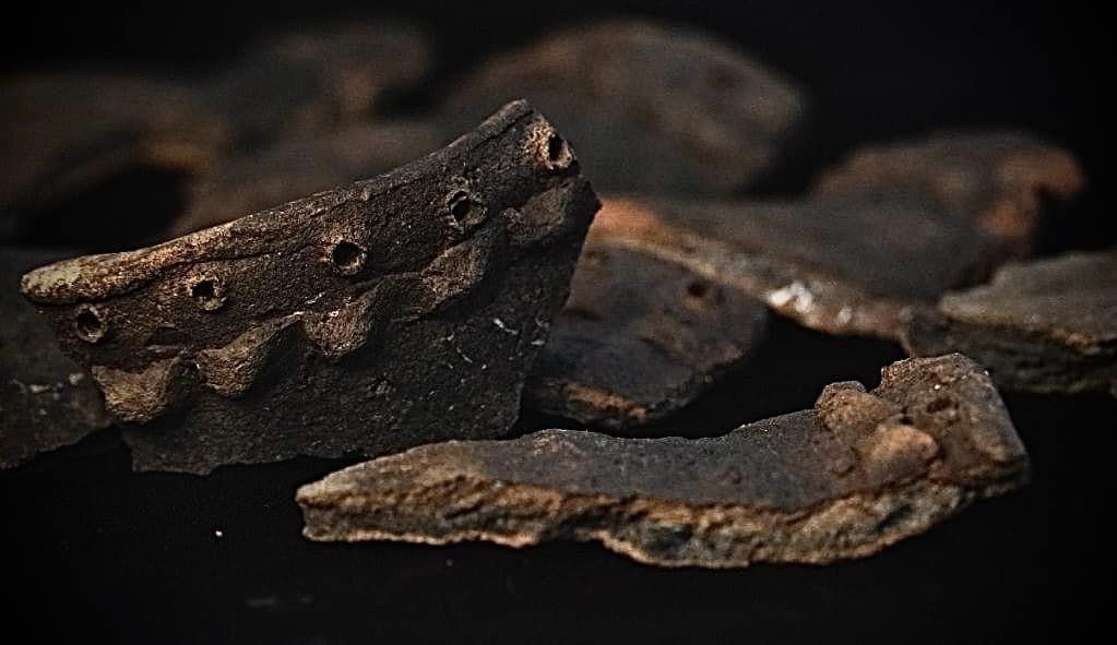 На Полтавщині виявили унікальне золото, якому понад 2 000 років: фото знахідки