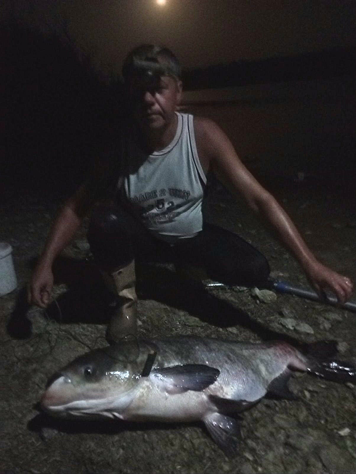 У Миколаївській області рибалка спіймав гігантську рибу вагою понад 20 кг: фото трофея