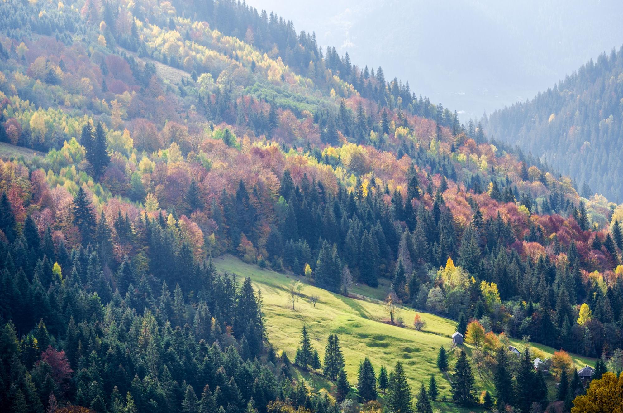 Справжнє серце Гуцульщини. У скільки обійдеться відпочинок в Верховині восени