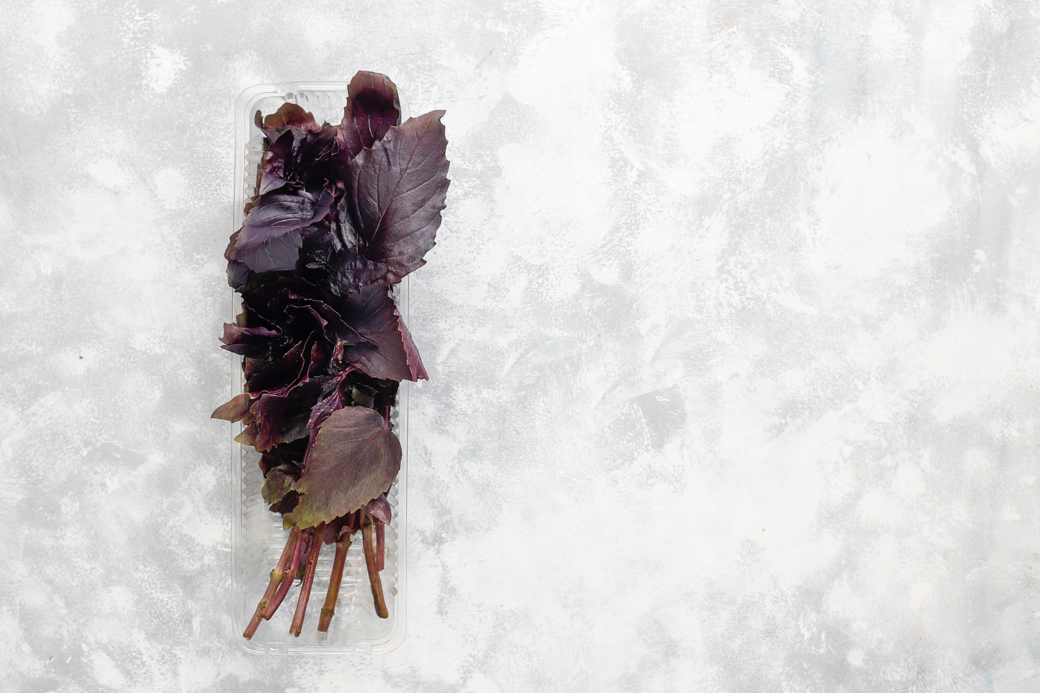 Якщо нема городу: як виростити базилік вдома