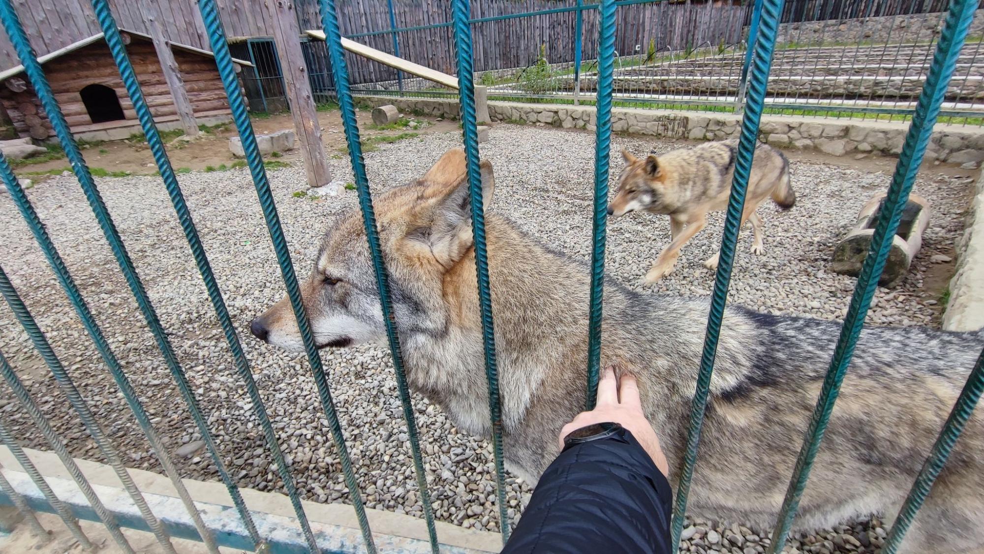 Осінь у Карпатах. Ідеальний дводенний маршрут для мандрівки у міжсезоння
