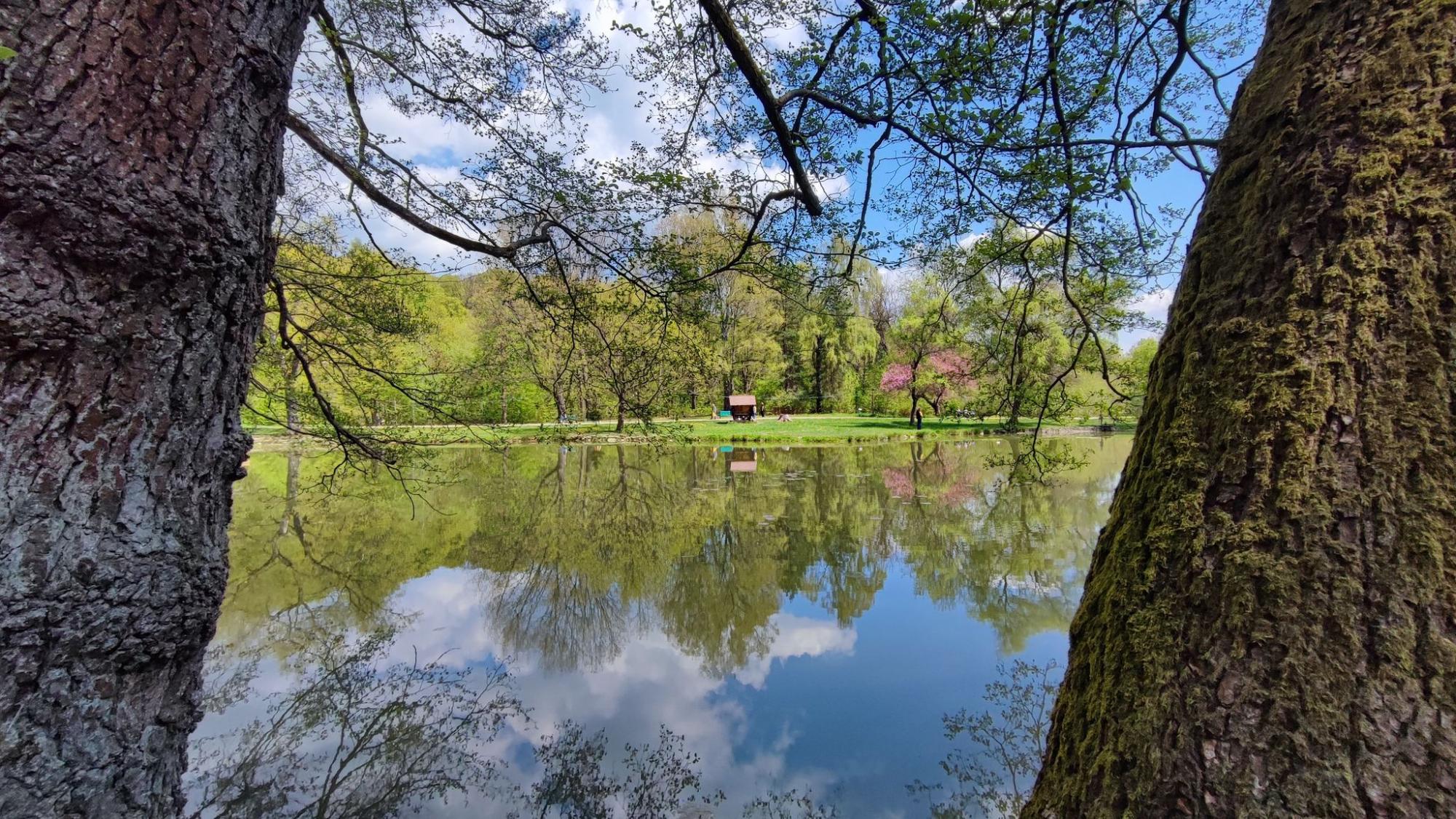 Замковый "джекпот". Авторский маршрут по Закарпатью для осеннего путешествия