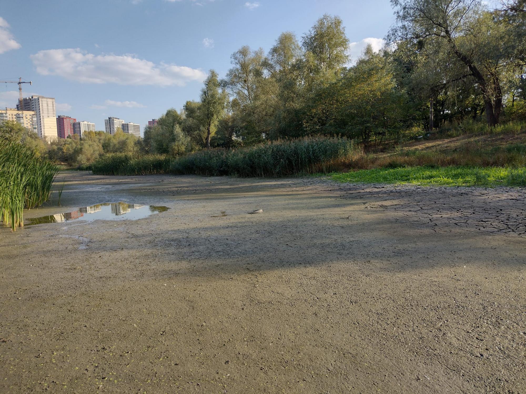 "Озеро померло". Популярна київська водойма перетворилася на пустелю (фото)