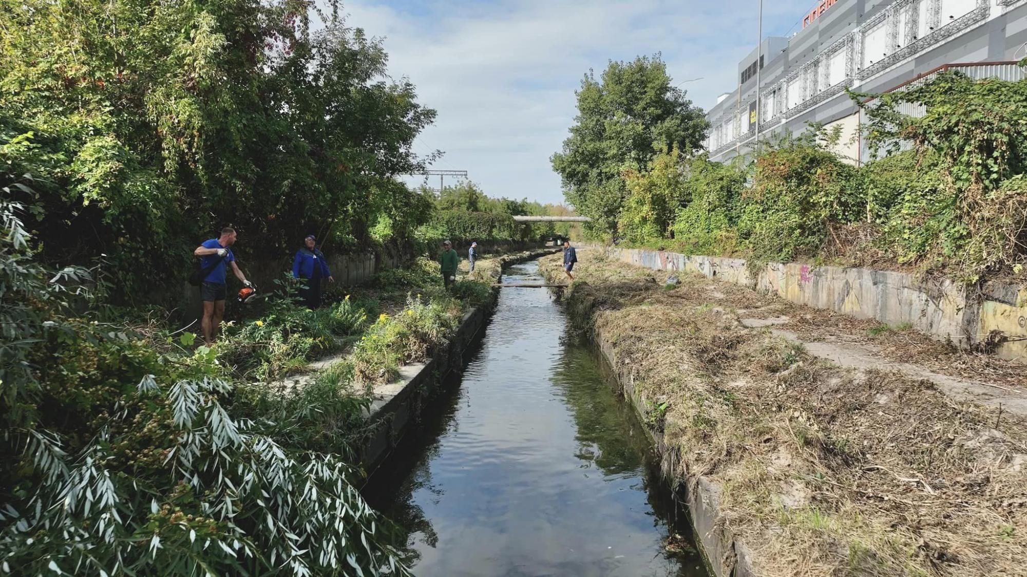 У Києві рятують річку Либідь від забруднення: що вже зробили активісти (фото)