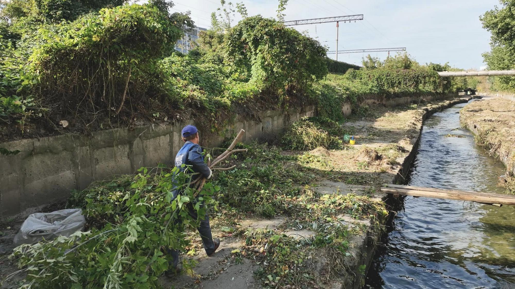 У Києві рятують річку Либідь від забруднення: що вже зробили активісти (фото)
