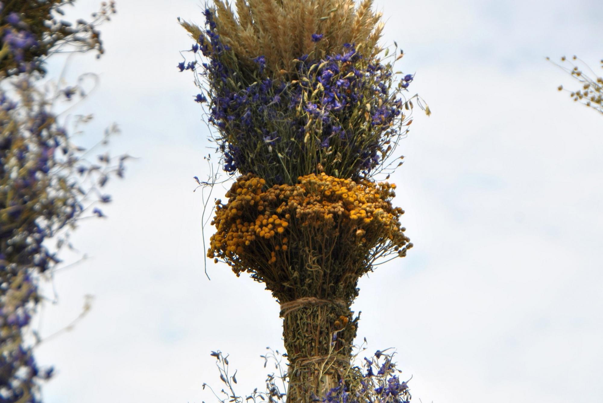 У селі на Хмельниччині виготовили рекордний трав'яний тризуб: дивіться, як виглядає це диво