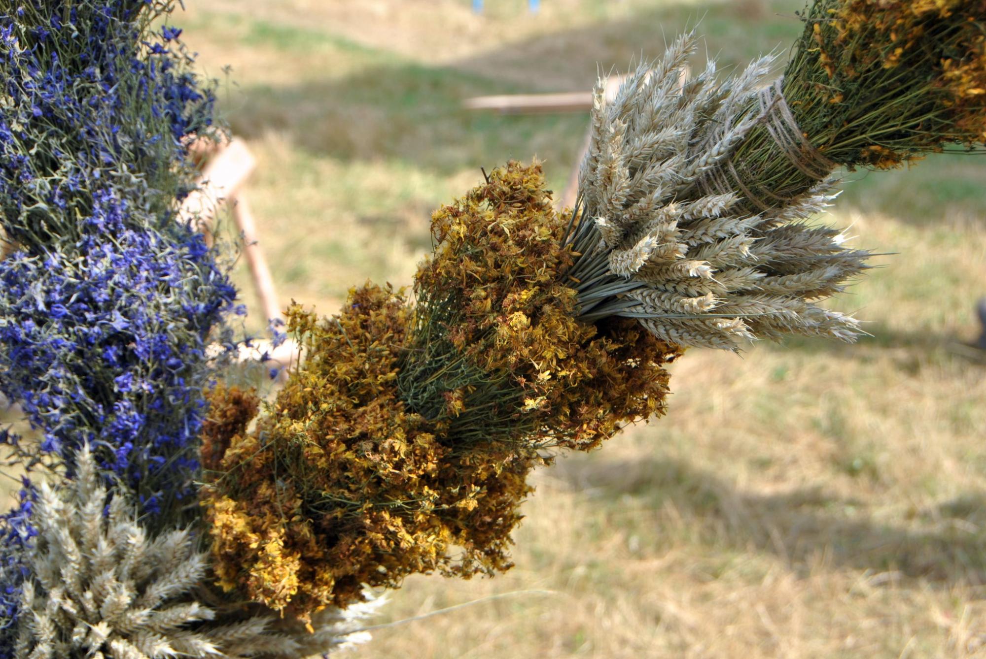 У селі на Хмельниччині виготовили рекордний трав'яний тризуб: дивіться, як виглядає це диво