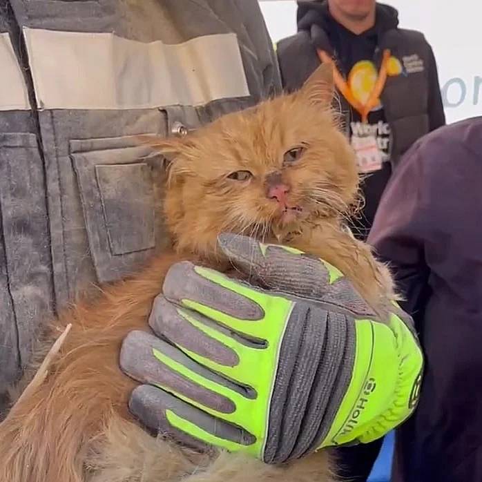 "Вони знали, що війна будь-якої миті може їх розлучити". У Запоріжжі внаслідок атаки РФ загинула молода пара