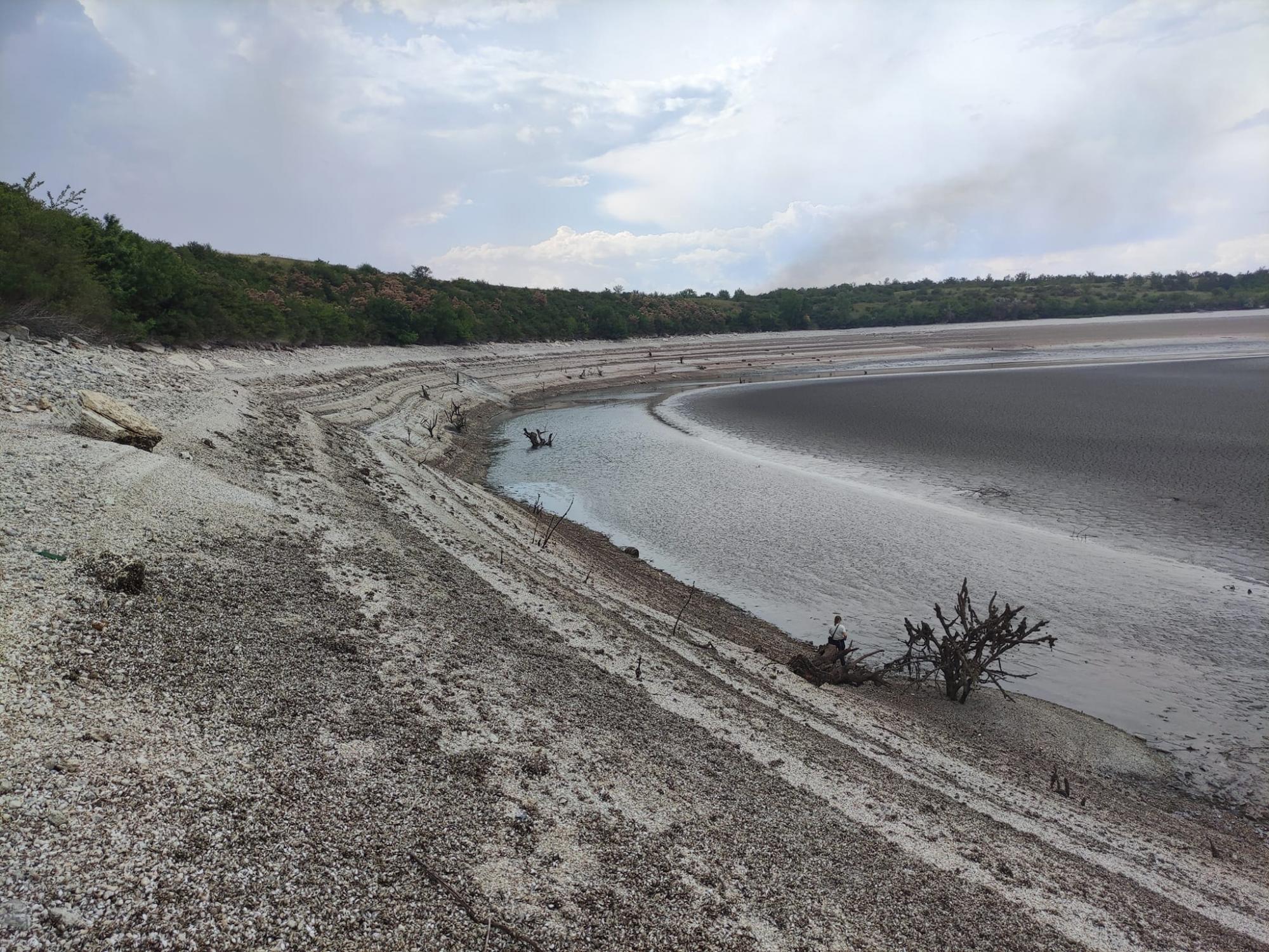 Смотрите, что сейчас выросло на дне Каховского водохранилища (фото, видео)