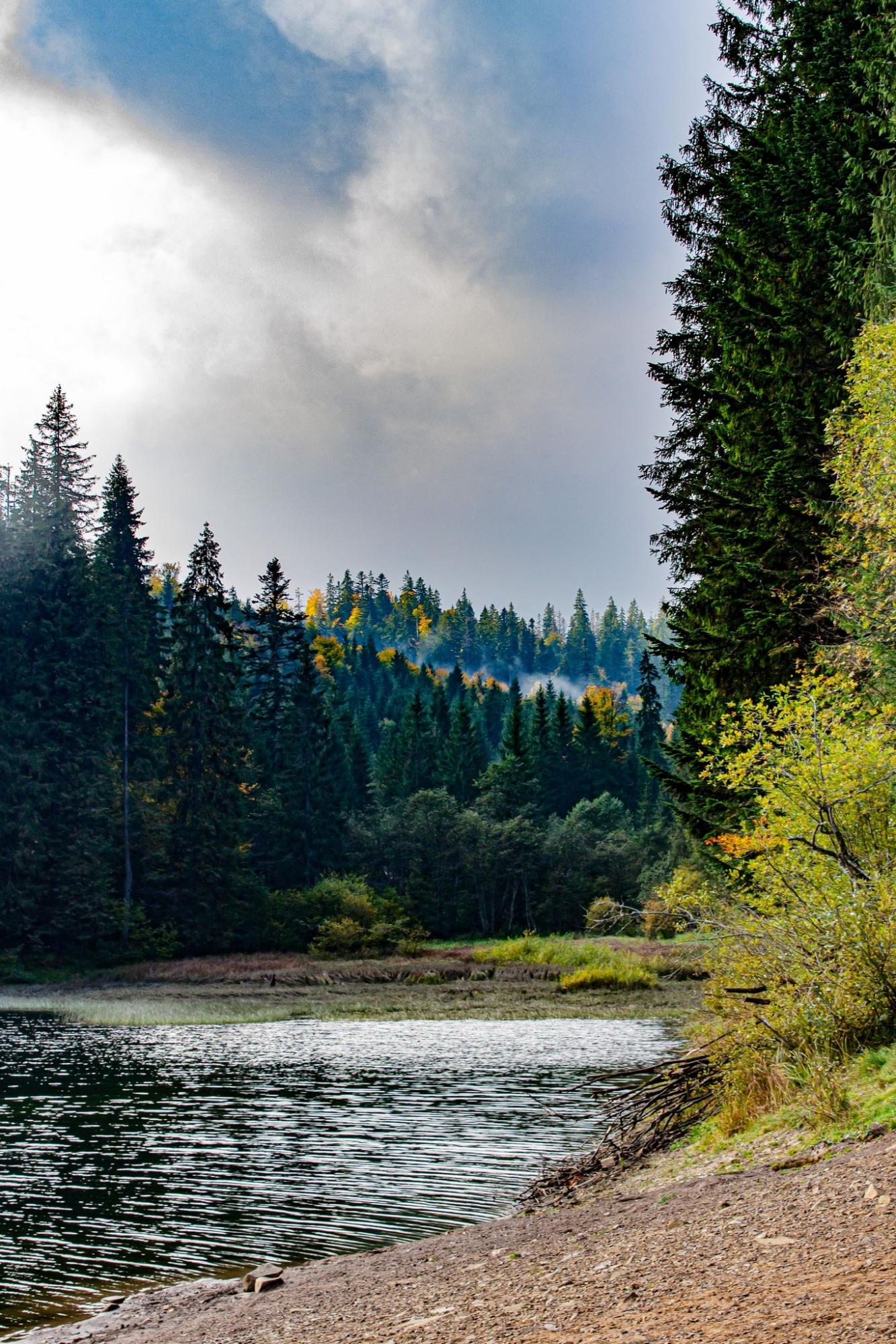 Різнобарвне листя вкрило дерева: як виглядають Карпати та озеро Синевир восени (фото)