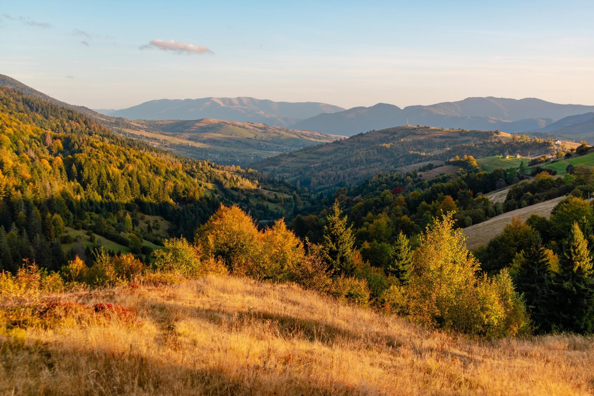 Різнобарвне листя вкрило дерева: як виглядають Карпати та озеро Синевир восени (фото)