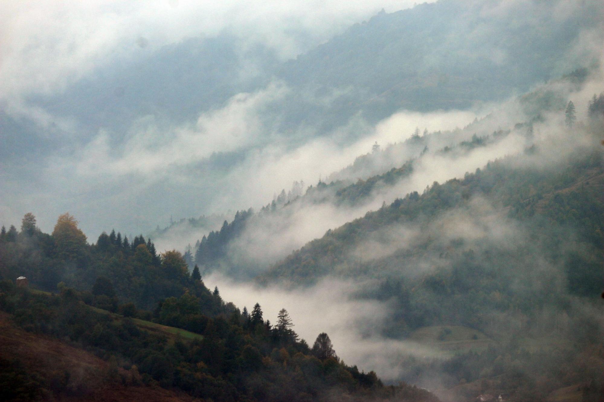 Різнобарвне листя вкрило дерева: як виглядають Карпати та озеро Синевир восени (фото)