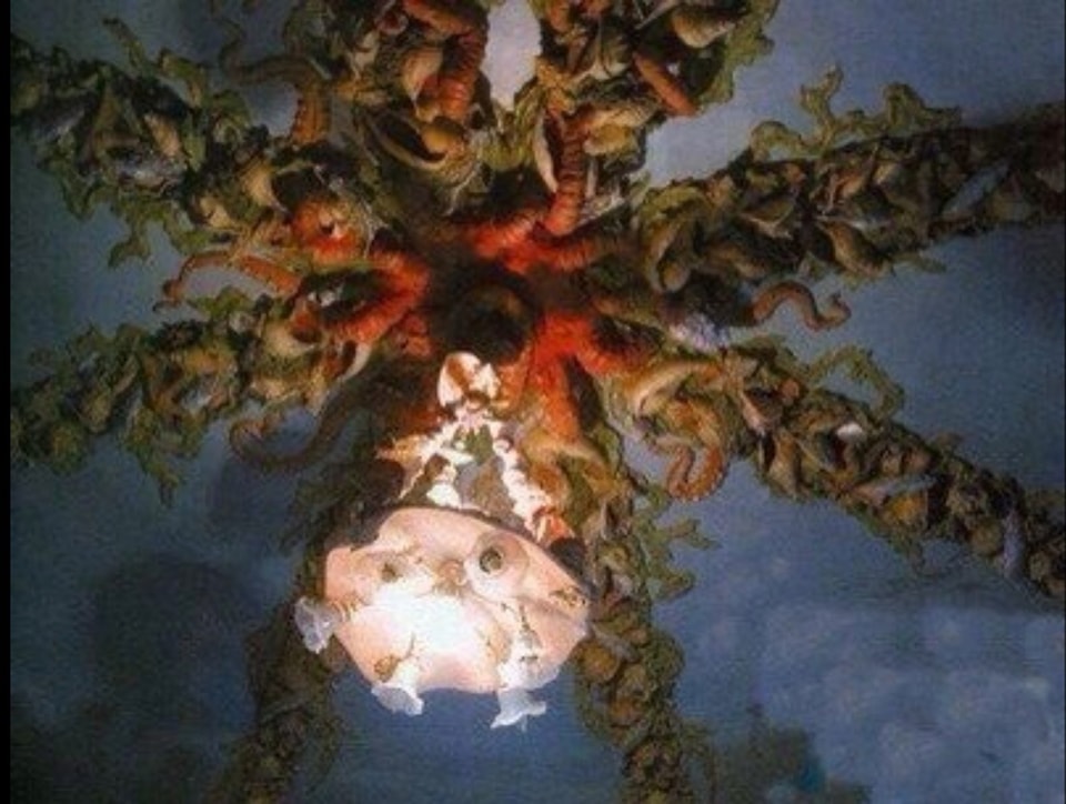 Не менш фантастичний, ніж зовні. Дивіться, як виглядає будинок із химерами всередині (фото)