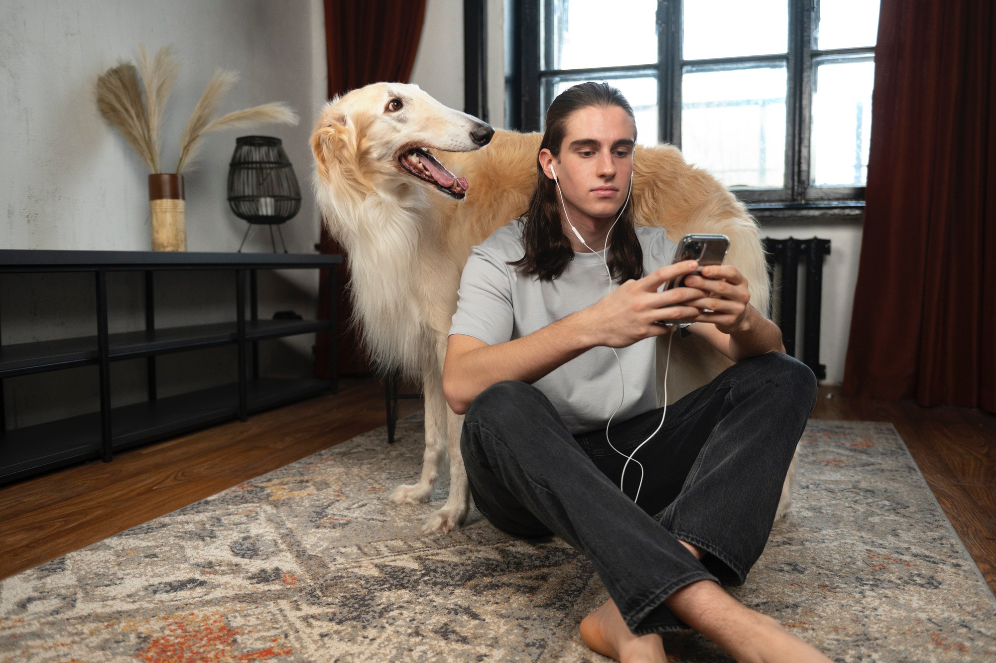 Чипа вже недостатньо: які правила ввели для власників собак у Києві та за що загрожує штраф