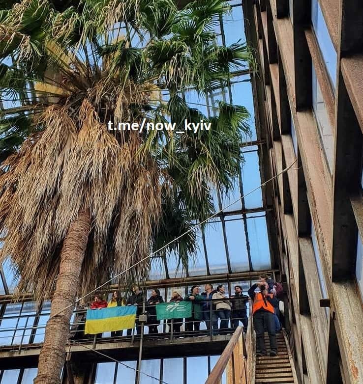 У Київському ботанічному саду розцвіла найстаріша в Європі пальма (фото)