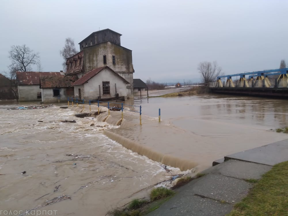 На Закарпатье затопило село, а река Тиса подступает к Виноградову (видео, фото)